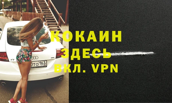 шишки Кропоткин