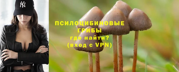 ПСИЛОЦИБИНОВЫЕ ГРИБЫ Протвино
