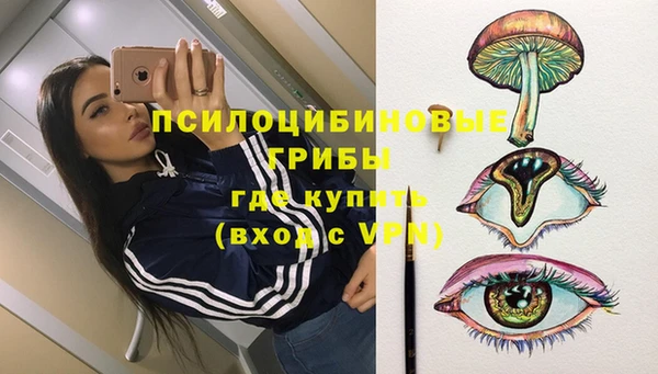 ПСИЛОЦИБИНОВЫЕ ГРИБЫ Протвино
