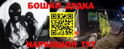 гидра Будённовск