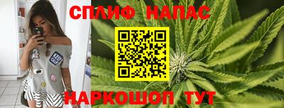 гидра Будённовск