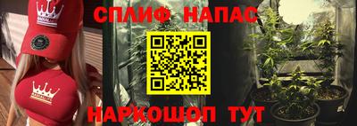 PSILOCYBIN Бугуруслан