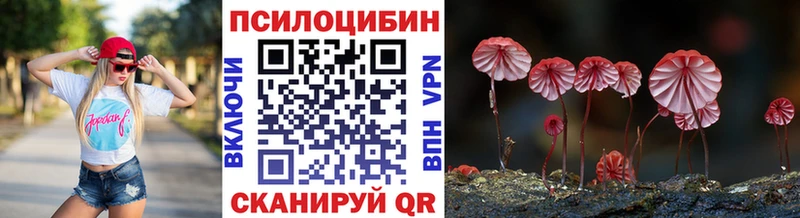 Галлюциногенные грибы GOLDEN TEACHER Спасск-Дальний