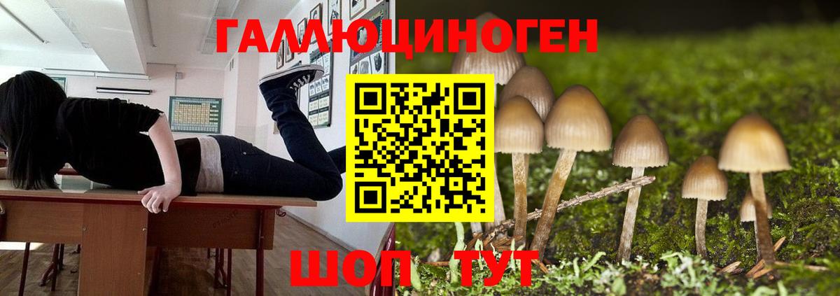 купить наркоту  Вход с VPN  Спасск-Дальний  Псилоцибиновые грибы GOLDEN TEACHER 
