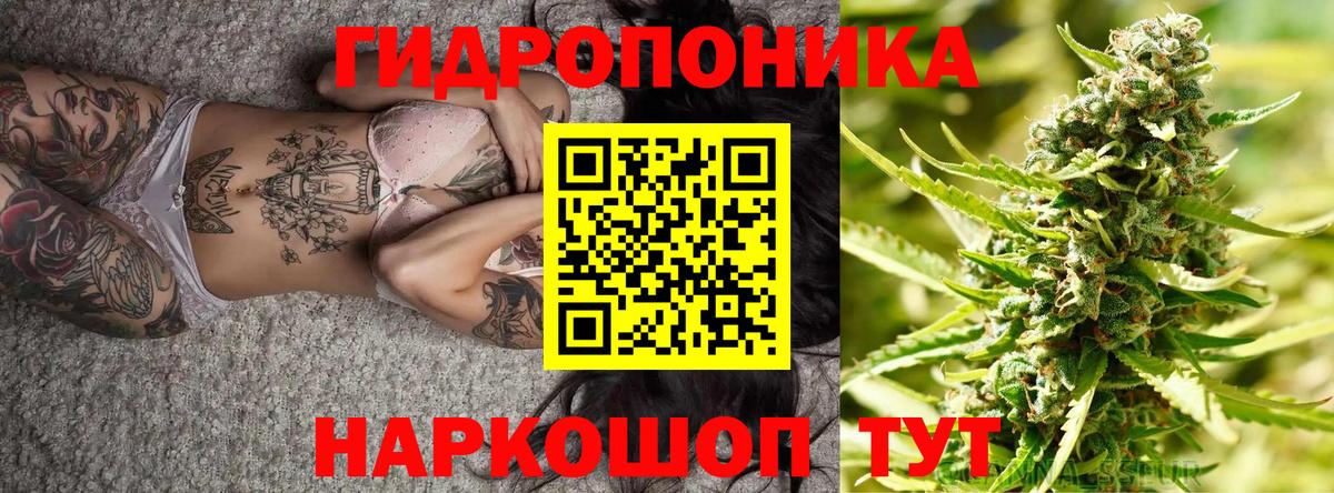 Спасск-Дальний  Бошки марихуана Amnesia  Канабис VHQ  Вход с VPN  Бошки Шишки гибрид 